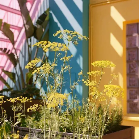 Pol & Grace Hotel Barcelona