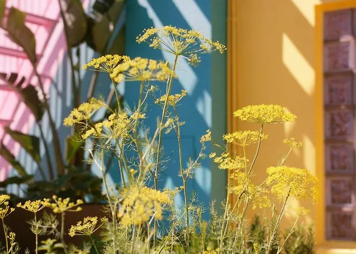 Pol&grace Szálloda Barcelona