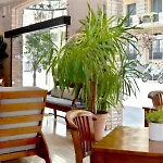 Pol & Grace 4* Βαρκελώνη